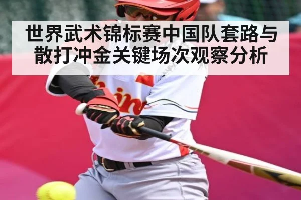 世界武术锦标赛中国队套路与散打冲金关键场次观察分析（pg）