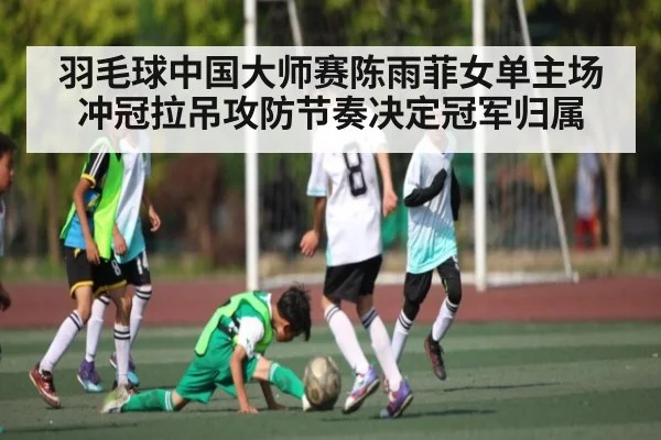 羽毛球中国大师赛陈雨菲女单主场冲冠拉吊攻防节奏决定冠军归属（pg）